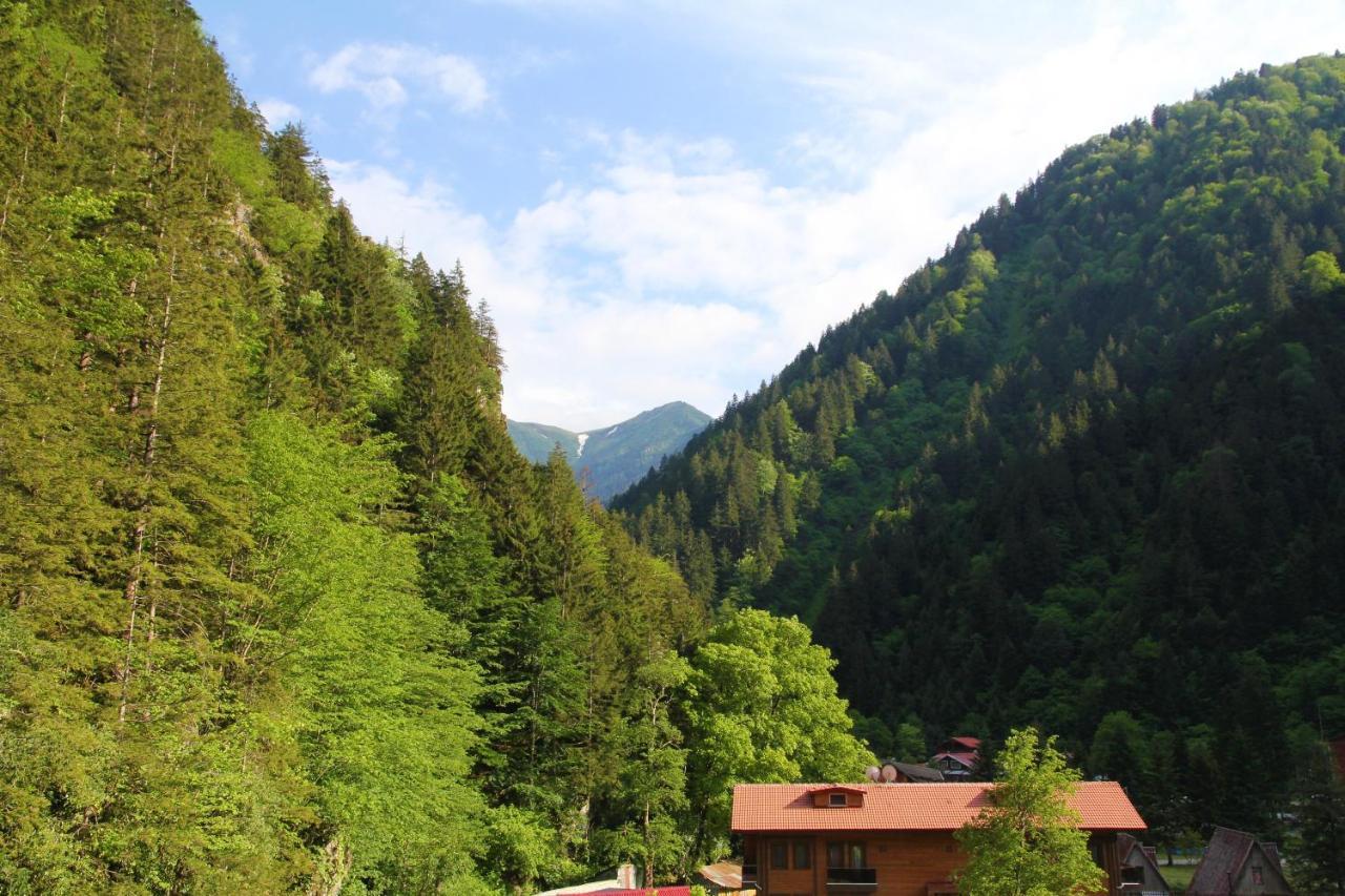 Kilpa Hotel Uzungöl Exteriér fotografie